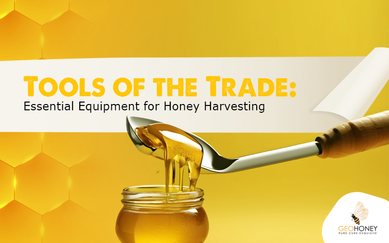 Tools of the Trade: Essential Equipment for Honey Harvesting